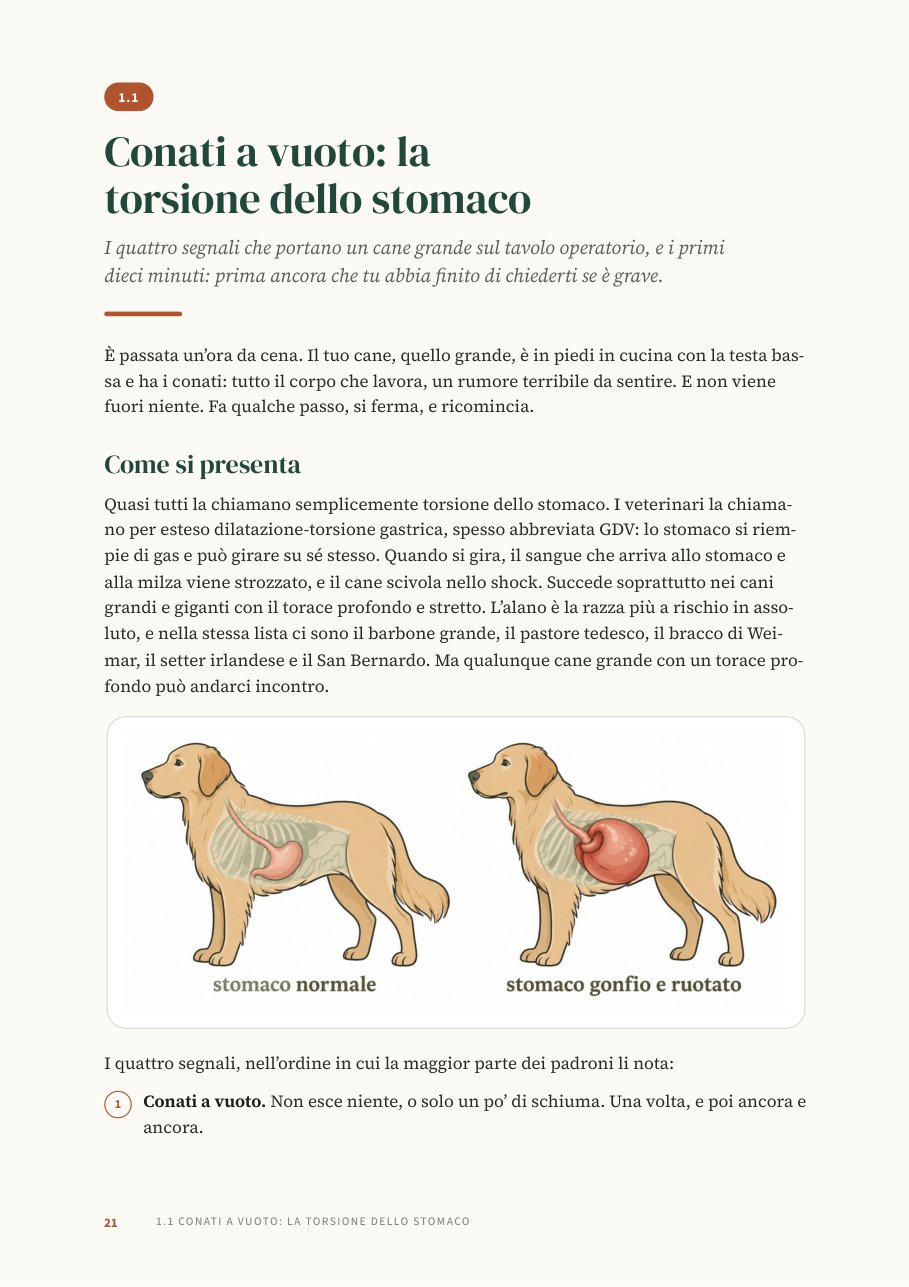 Una pagina del libro: la torsione dello stomaco, con il disegno dello stomaco ruotato